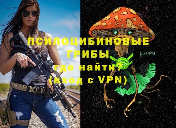 спиды Переславль-Залесский