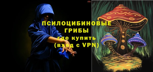 спиды Переславль-Залесский